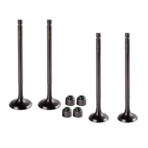 Válvulas Admisión Y Escape+Sellos Apache Rtr 200 Revo 2Par