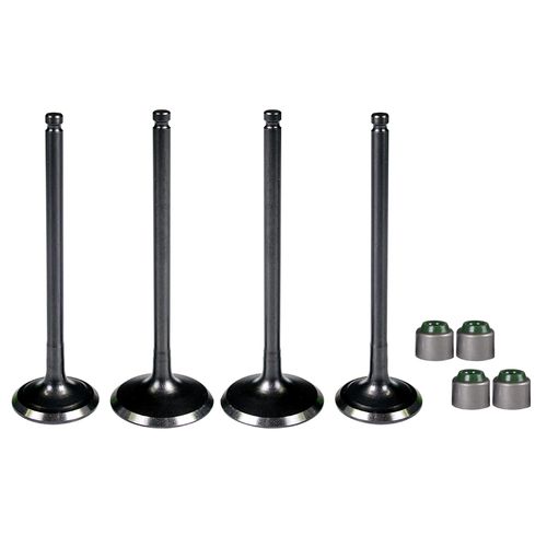 Válvulas Admisión Y Escape+Sellos Discover 125 St-150 St-150 F Revo 2Par