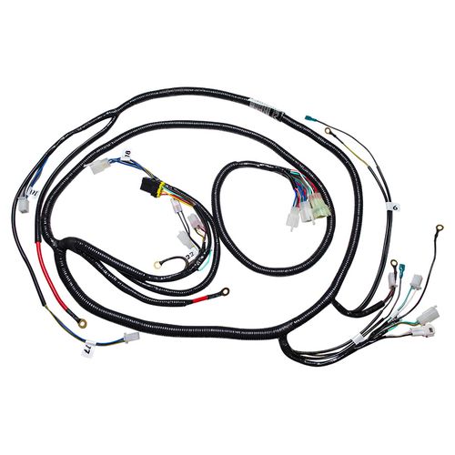 Sistema Eléctrico Trasero Motocarro Torito 4S Revo Unidad