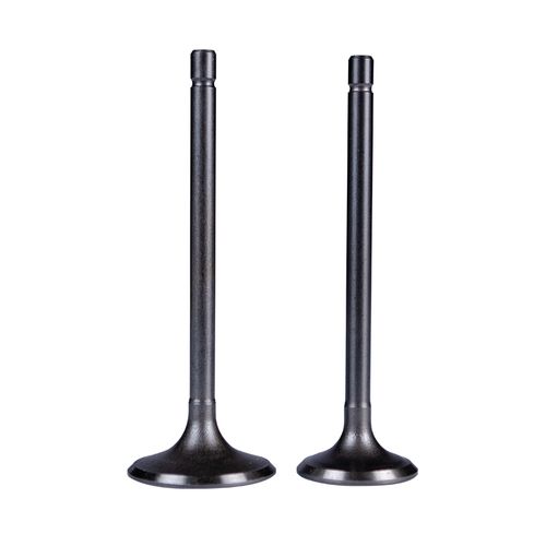 Kit Válvulas Adm Y Esc Akt 180 Sm Genui Kitx2