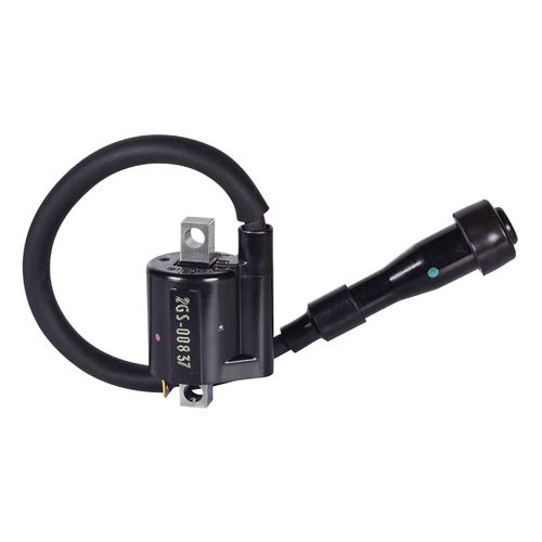 Bobina De Alta Con Capuchon Fz 2,0 Genui Und