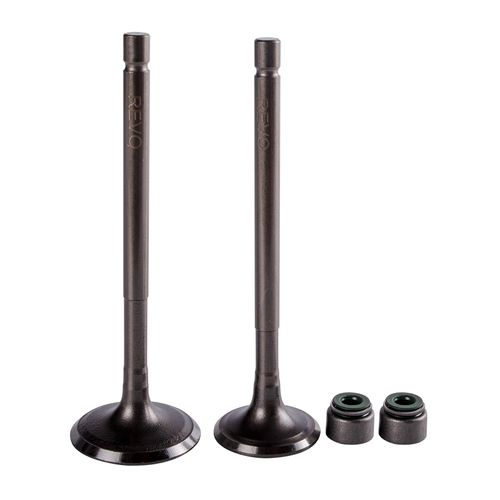 Válvulas Admisión y Escape + Sellos  Motocarro Torito 4S Revo Par