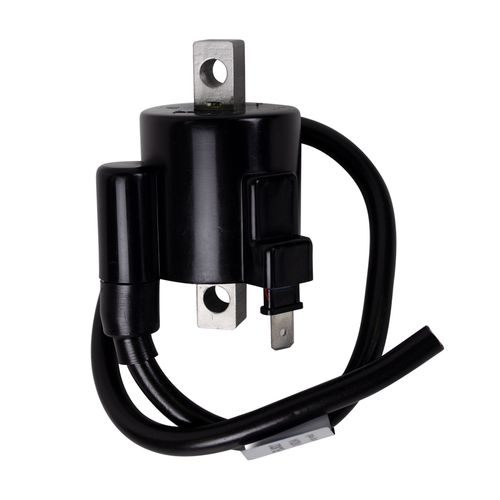 Bobina De Alta Pulsar 180 II-V2009, Discover 125-135 Original Varroc Unidad