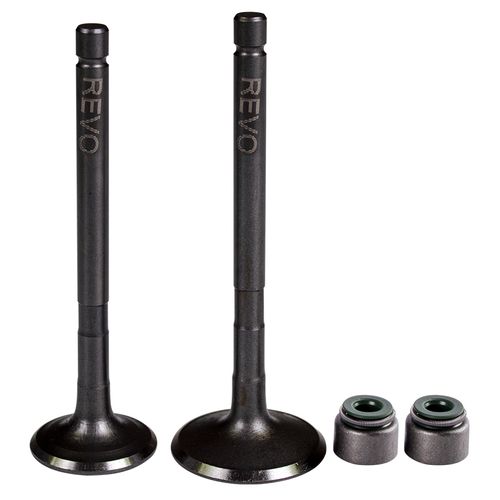 Válvulas Admisión y Escape + Sellos Motocarro Torito RE 205D Revo Par