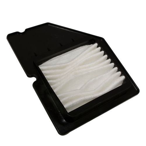 Filtro Aire Hayate 110 Revo Und